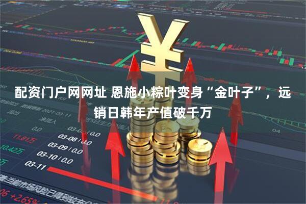 配资门户网网址 恩施小粽叶变身“金叶子”，远销日韩年产值破千万