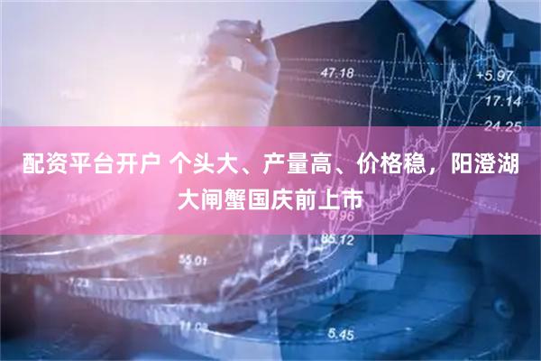 配资平台开户 个头大、产量高、价格稳，阳澄湖大闸蟹国庆前上市